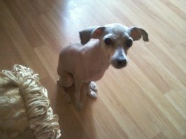 Картинки с надписями для настроения