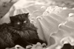 Картинки с надписями для настроения