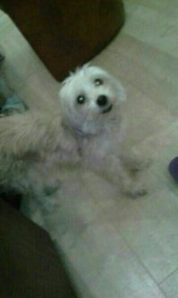 Картинки с надписями для настроения