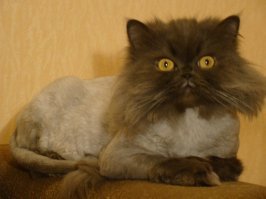 Картинки с надписями для настроения