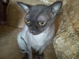 Картинки с надписями для настроения