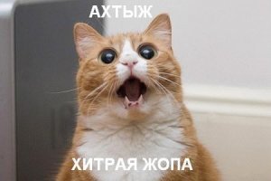 Японцы попадают в ловушку с сексуальным манекеном