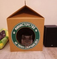 типа из говна- конфетку!!!
 а котикам любая коробочка ..В РАДОСТЬ.