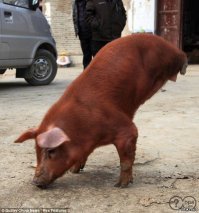 15 жутковатых винтажных реклам, после которых страшно ложиться спать