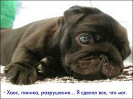 Места, где можно спрятаться в случае зомби-апокалипсиса