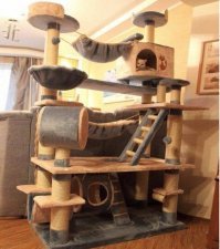 вот дом олигарха