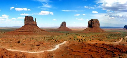 РЕН ТВ говорит, что вот останки этих деревьев после их смерти (Колорадо, США).