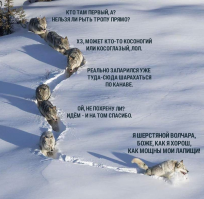 Конечно, картинка была на Фишках, но каждый раз ржу, глядя на нее...