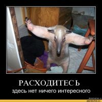 Смешные картинки с надписями