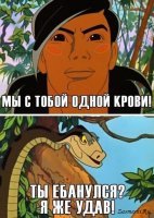 Лошадь, которая совершенно не боится волков