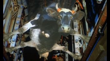 Ну вы поняли...