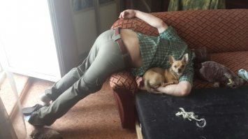 То же не любил собак, пока жена не завела  кекса и не показала как он меня охранял пока я спал после "смены")))