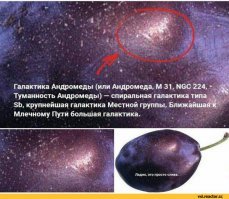 Безумный мир автомобильных плёнок