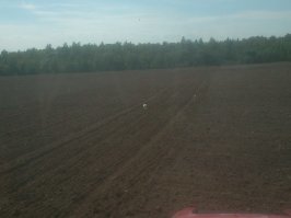 С конца апреля и до середины октября в полях работаю. И как-то не обращал внимания на красоту. 1-е фото(осень) для нашего местного журнала: дискование стерни, на тракторе я. На втором фото(весна), плохо видно - это ко мне прилетела красавица-цапля, два дня сопровождала.