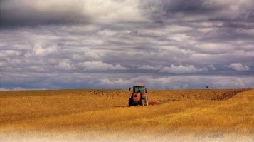 С конца апреля и до середины октября в полях работаю. И как-то не обращал внимания на красоту. 1-е фото(осень) для нашего местного журнала: дискование стерни, на тракторе я. На втором фото(весна), плохо видно - это ко мне прилетела красавица-цапля, два дня сопровождала.