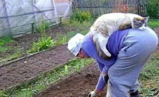 40 позитивных картинок, которые скрасят ваш день