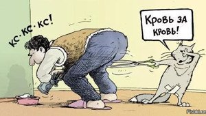 40 позитивных картинок, которые скрасят ваш день