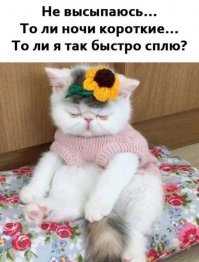 Смешные комментарии и высказывания из социальных сетей