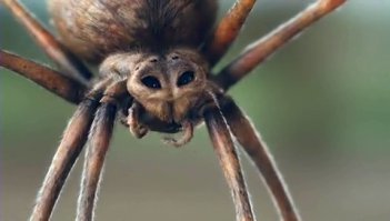 Картинки с надписями для настроения