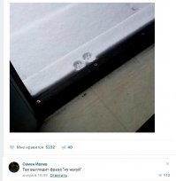 40 позитивных картинок, которые скрасят ваш день