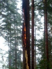 Из личного архива