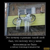 40 позитивных картинок, которые скрасят ваш день