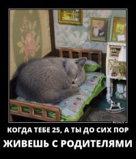 Смешные комментарии и высказывания из социальных сетей