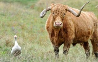 тыдыщ! забыл  :) - ну, для пэрфОмэнса