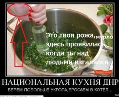 20 пугающих вариантов использования укропа: роллы, цезарь, капучино