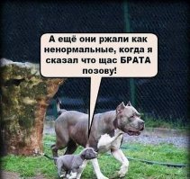 40 позитивных картинок, которые скрасят ваш день