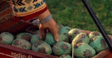 Вы еще яйца "крайтов" "запилите"...:)