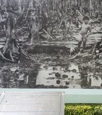 Мангровый лес Вьетнама после его демократизации "агентом оранжем".
Фото людей пострадавших и мутаций это вообще жесть.
Это музей военных преступлений американцев в ХоШиМине (бывшем Сайгоне). В глазах у гида, которому всего лет 25 такая ненависть была, запомнилось. И тетку в музее еще видел плачущую, не знаю не говорила ничего, но на русскую не похожа.
Вьеты помнят это всё. Но ХиШиМин иногда называют Сайгоном.