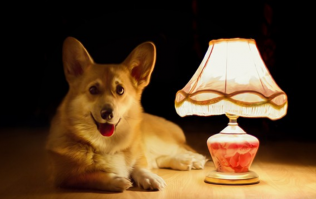 Ромбики от ковра - как доказательство