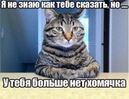 А на что вы готовы ради своих близких?