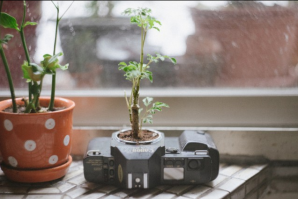 Хитрости для дачников