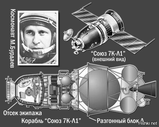 Пояса радиации модно облететь поверху, как это и сделали на "Аполлонах".
Наши лунные пилотируемые аппараты - это "Зонды-6, 7, 8", они же Союз 7К-Л1.

Для справки: уровень радиации на МКС - 1 миллизиверт в сутки, на траектории полёта к Луне или к Марсу - 1.8, на Луне -1, на Марсе - 0.8.
Если у Вас есть другие достоверные данные - буду благодарна за источник ерунды.
>>При этом его собственный пилотируемый аппарат последние лет 8 как существует исключительно в виде красиво отрендеренных картинок
А вот врать я просто не рекомендую...