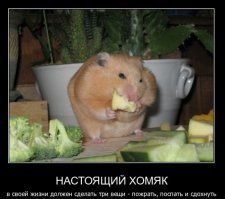 А на что вы готовы ради своих близких?
