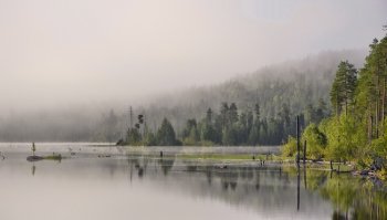 Там моё сердце, там, в этом краю. Пока могу - буду туда ездить....
