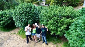 Хитрости для дачников