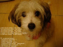 10 лет чучелу))