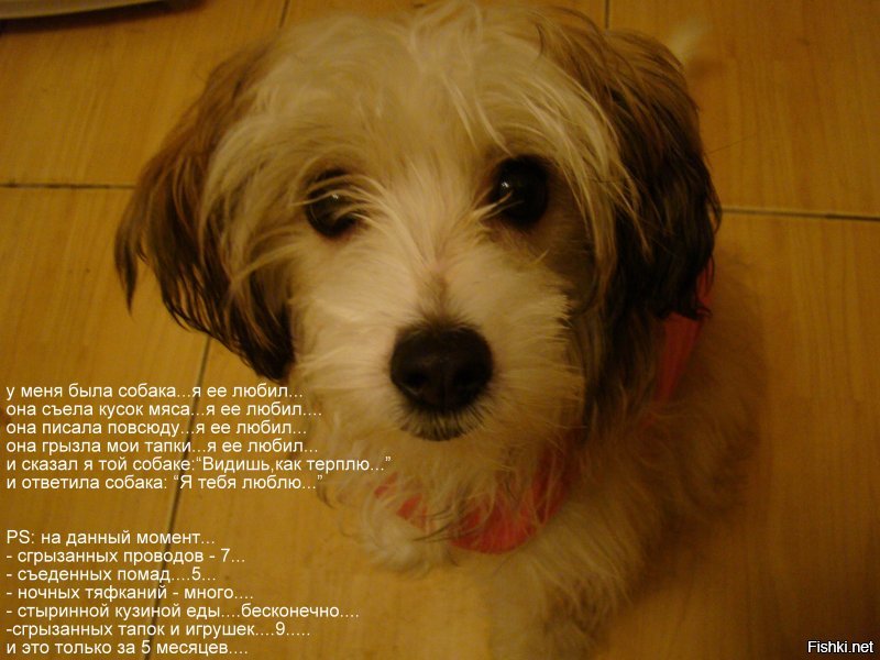 10 лет чучелу))