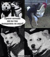 Ушедшая в историю страна: История космической станции «Мир»