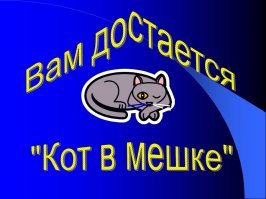 Спасение кота, просидевшего неделю на 20-метровом дереве