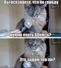 Субботний котопост