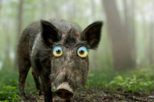 Это все ... муйня! Вот !!!! Машина для убийств! Ужос летящий на крыльях ночи!! Трепещи ворог!! СУГС