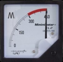 Волонтеры шлют умилительные фото животных из приютов