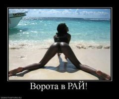 Очень необычные и оригинальные системы для открывания ворот