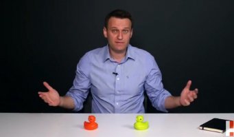 Секс расследования, недорого. Отлов хомячков.