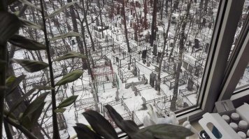 У нашей Вареньки Лютовой, судя по её постам, из окна вид примерно такой: