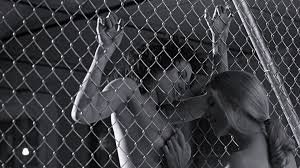 "Джиа" проходной фильм? Автор вообще его смотрел, учитывая, что это сериал? Классный фильм и одна из двух хороших ролей Джоли